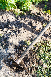 Similar image 8166141