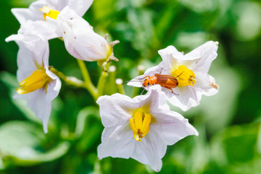 Similar image 8166152