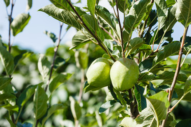 Similar image 8166156