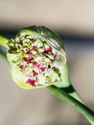 Similar image 8166158