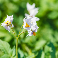 Similar image 8166160