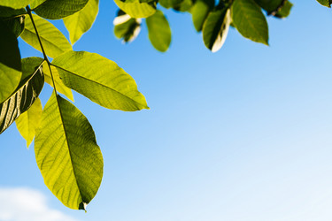 Similar image 8166166