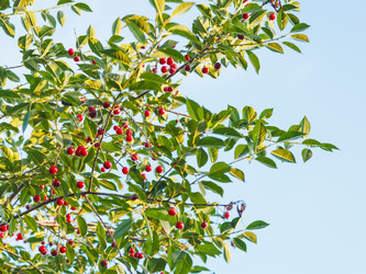 Similar image 8166168