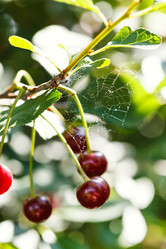 Similar image 8166181