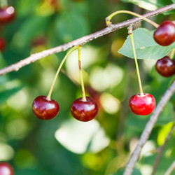 Similar image 8166185