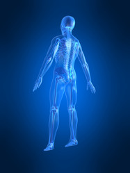 Similar image 8166202