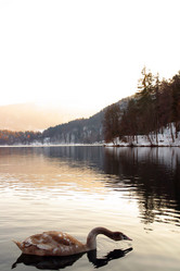 Similar image 8166248