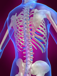 Similar image 8166272