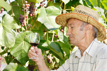 Similar image 8166315