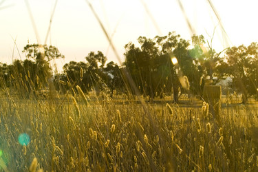 Similar image 8166319