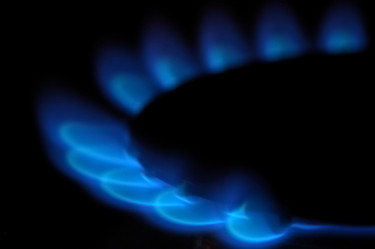 Similar image 8166330