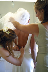 Similar image 8166340