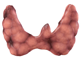 Similar image 8166409