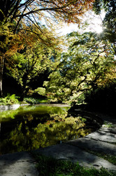 Similar image 8166440