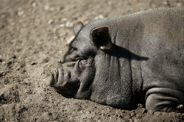 Similar image 8166444