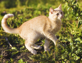 Similar image 8166446