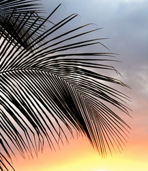 Similar image 8166488