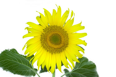 Similar image 8166493