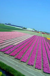 Similar image 8166508