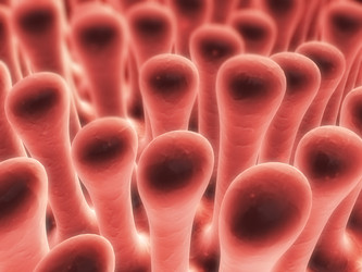 Similar image 8166515