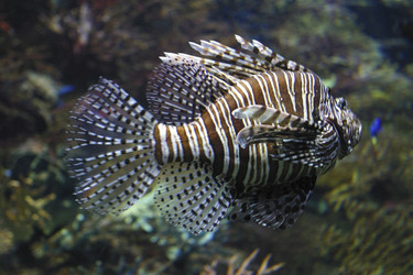 Similar image 8166528