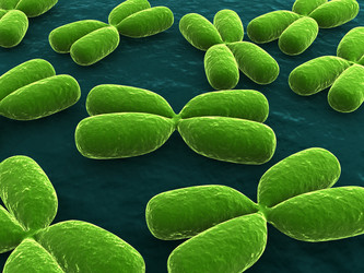 Similar image 8166539