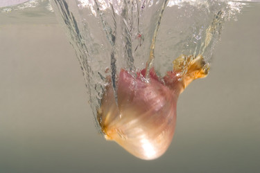 Similar image 8166587