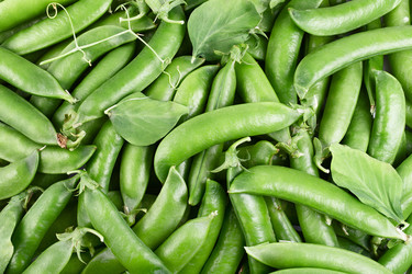 Similar image 8166602