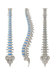 Similar image 8166619