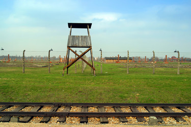 Similar image 8166636