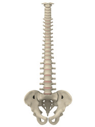 Similar image 8166638