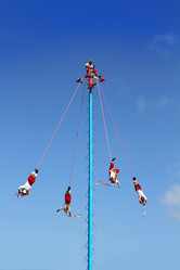 Similar image 8166649