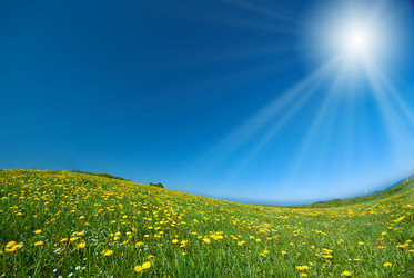 Similar image 8166681