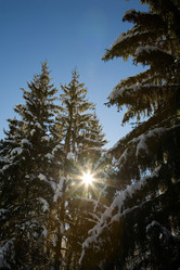 Similar image 8166728