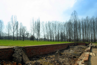 Similar image 8166750