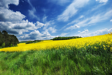 Similar image 8166774