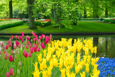 Similar image 8166783