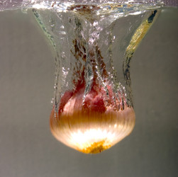 Similar image 8166787