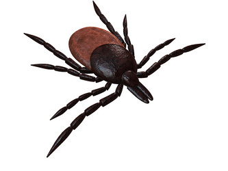 Similar image 8166793