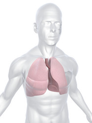 Similar image 8166834