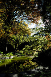 Similar image 8166847