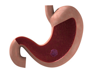 Similar image 8166848