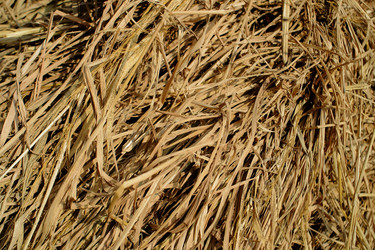 Similar image 8166850