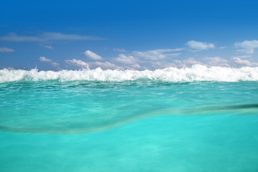 Similar image 8166871