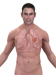 Similar image 8166880