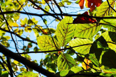 Similar image 8166919