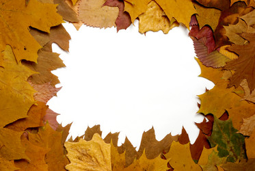 Similar image 8166924