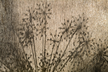 Similar image 8166929