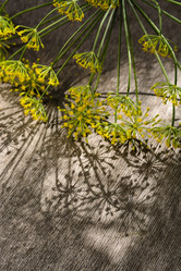 Similar image 8166931