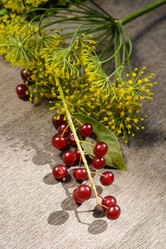 Similar image 8166932